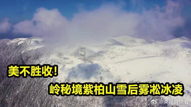 万词王