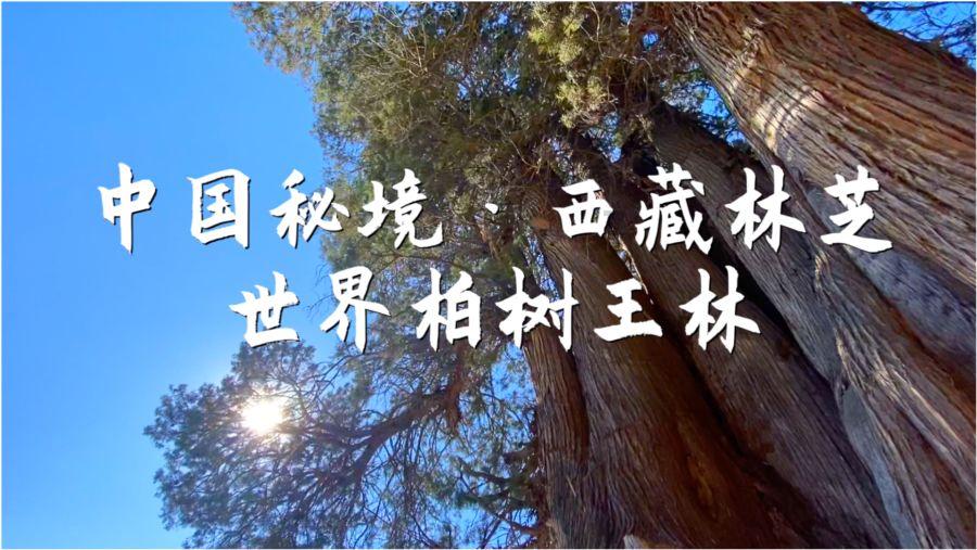 枣庄发布大风降温预报 23日早晨最低气温-10~-8℃