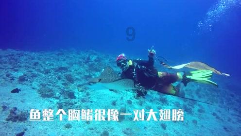 呈贡区召开“英才呈就”党政青年人才座谈会