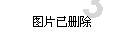 玩具熊五夜后宫4