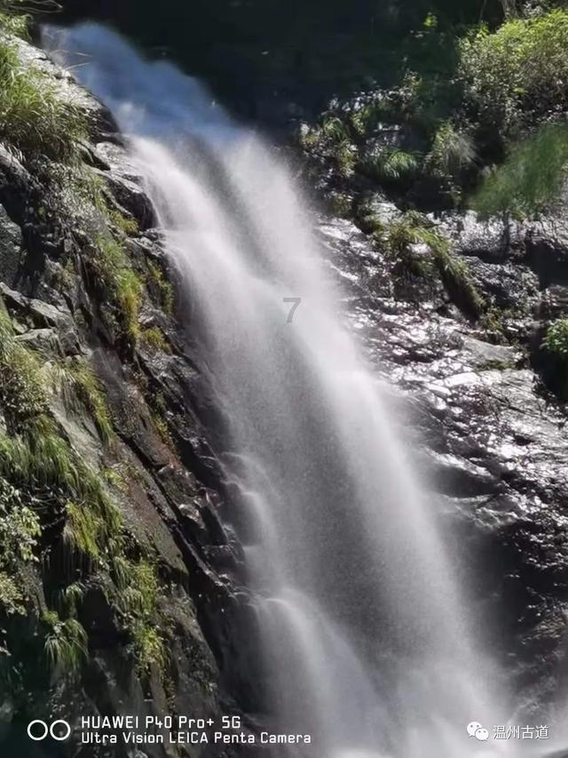 广西烤鹅其实味道都很适合广东朋友,学习培训最好是找个店
